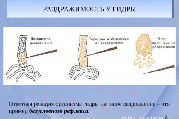 Даркмаркет кракен