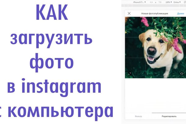 Кракен даркнет войти