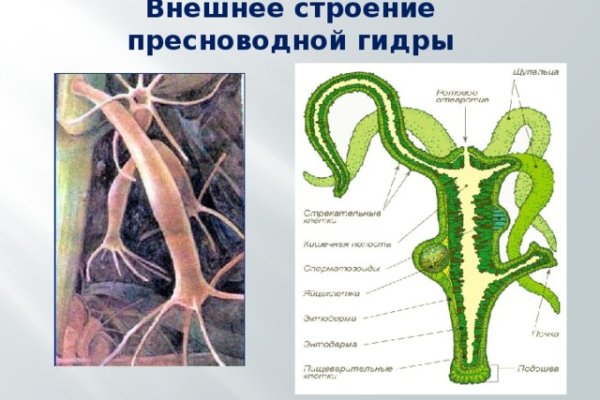 Кракен даркнет официальный