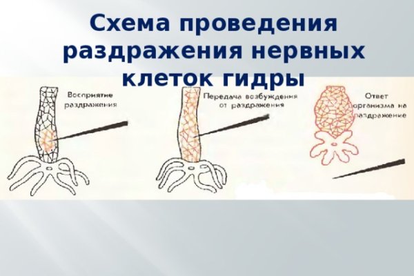 Ссылка на kraken торговая площадка