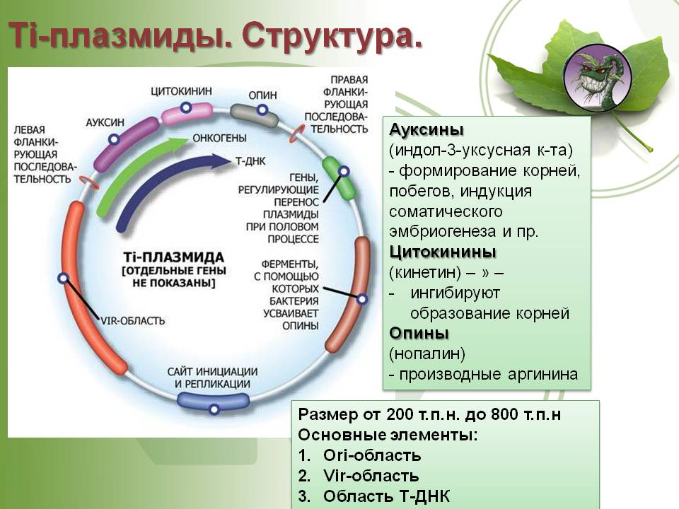 Кракен как войти