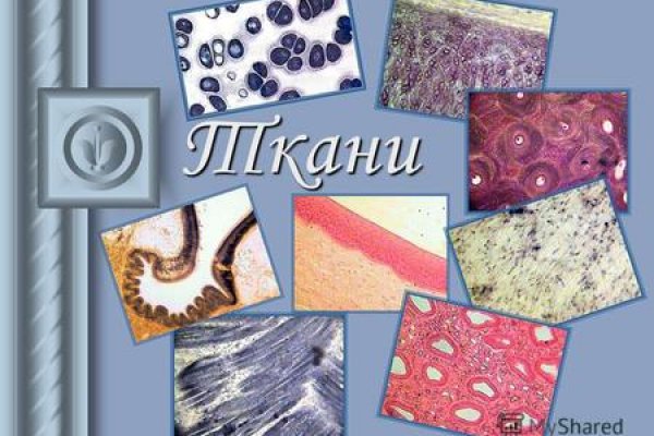 Kraken ссылка актуальная москва