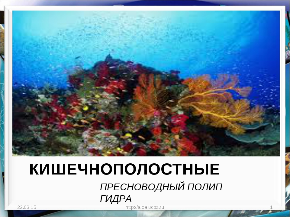 Кракен даркнет ссылка зеркало