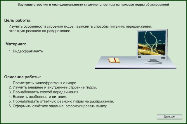 Забыл пароль от кракен