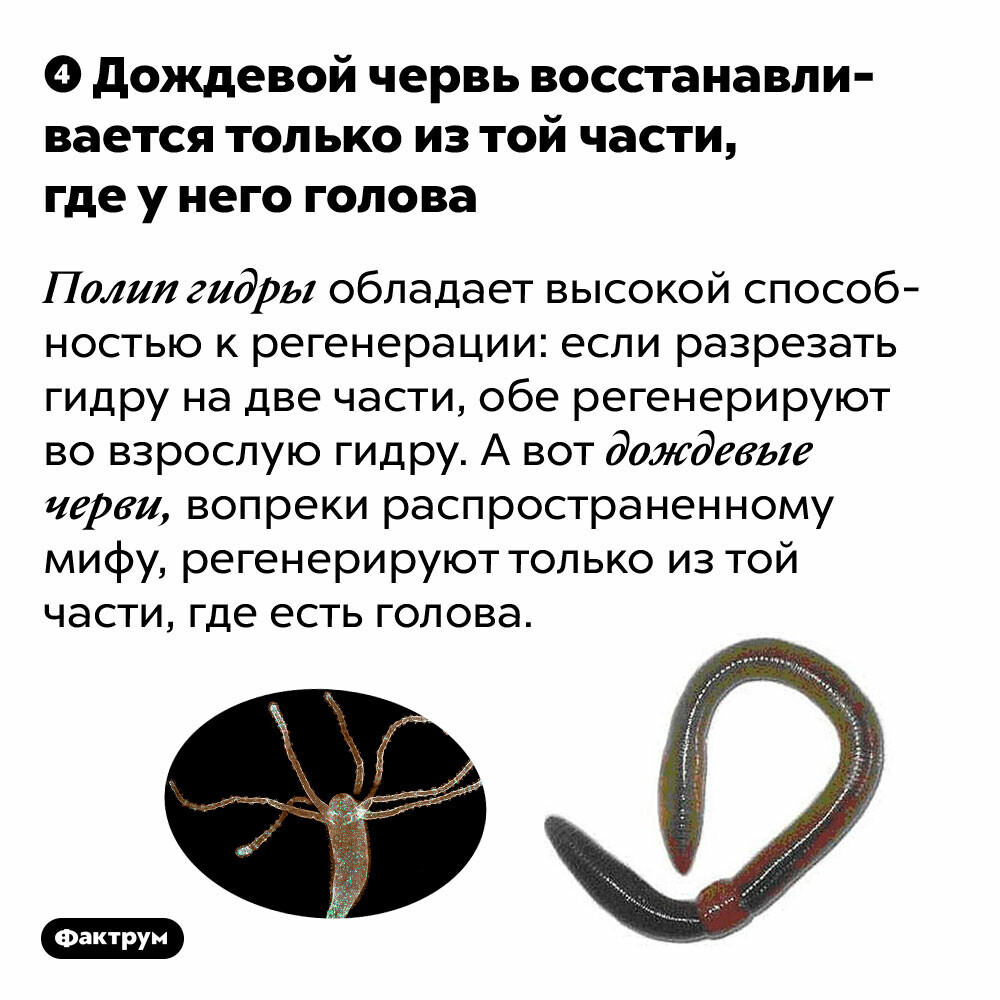 Что продают в кракен маркете